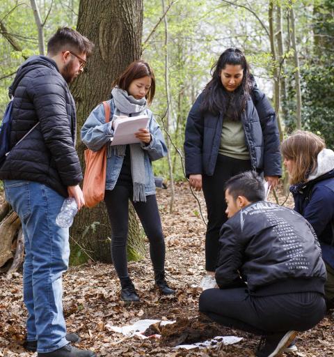 A group of students in a forest study the ground closely, taking notes and examining soil samples for a field research project.