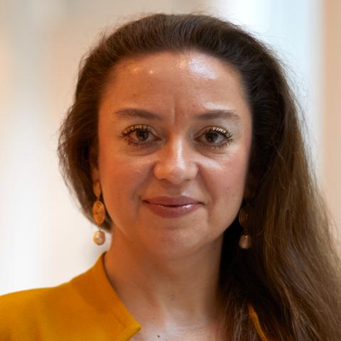 Bahar Tabakoglu