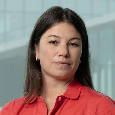 item.storyPage.profileImage.alt || true