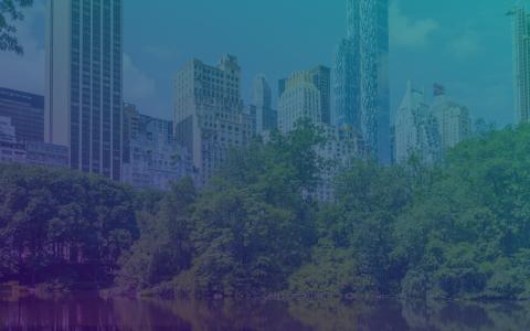 NYC skyline with colored overlay