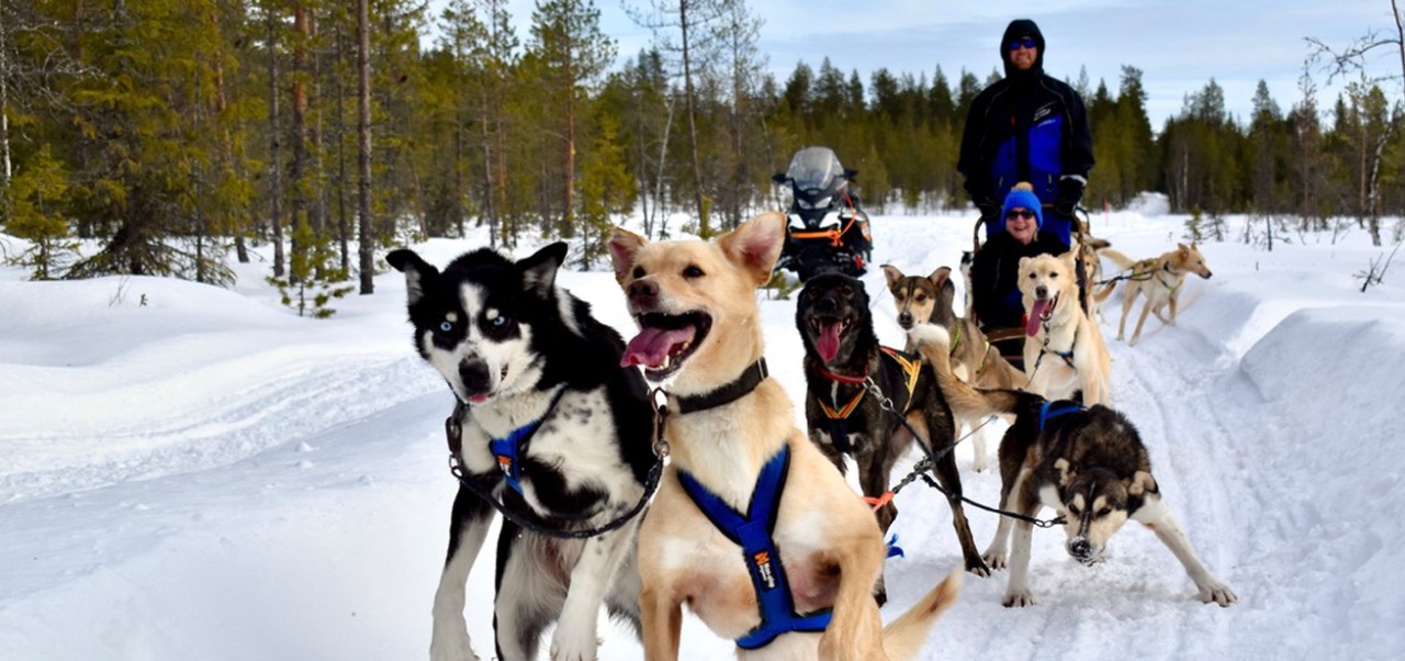Nicholas Reese and his wife navigate a sled pulled by six dogs of all different colors in a snowy setting in Norway