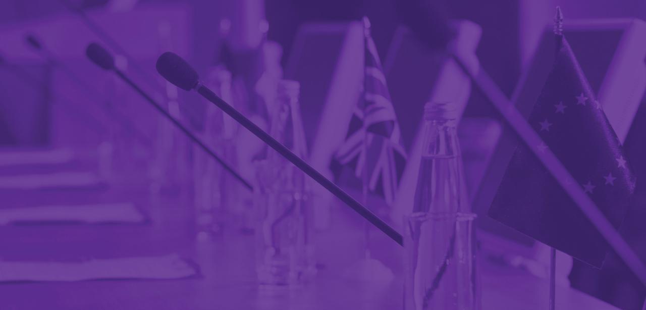 A young woman pensively looks into the distance while standing in front of flags blowing in the wind at the United Nations.