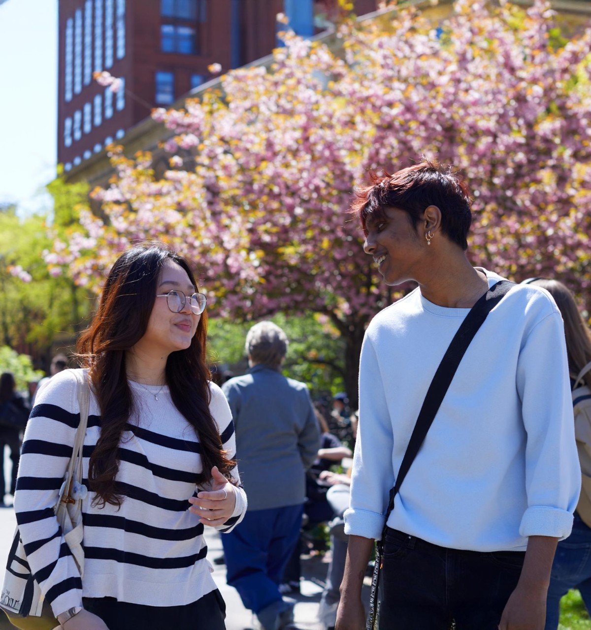 Two people walk and chat under blooming cherry blossoms in a park.